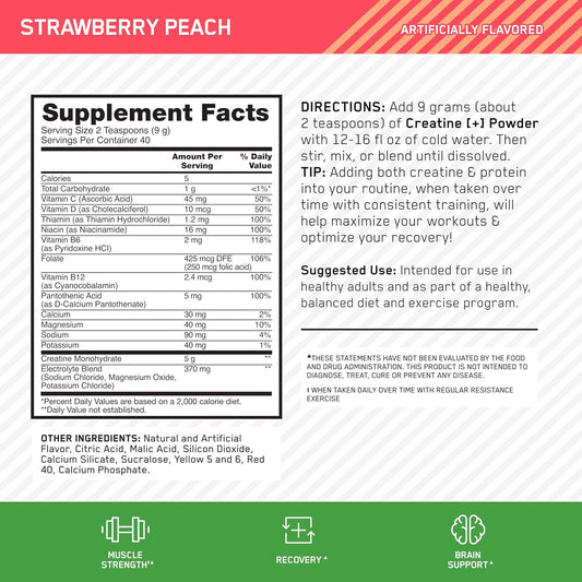 Optimum Nutrition Creatine + - Enhanced 3 in 1 Formula - Mann Nutrition