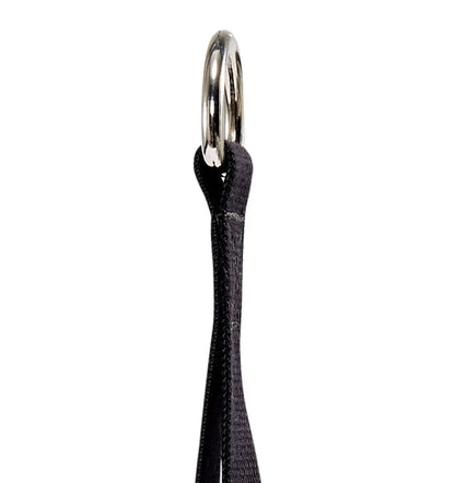 1400 Schiek Ab Strap for Cable Machines