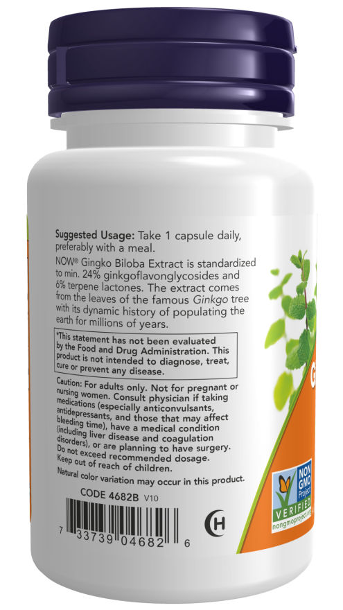 Now Ginkgo Biloba, Double Strength 120 mg Veg Capsules
