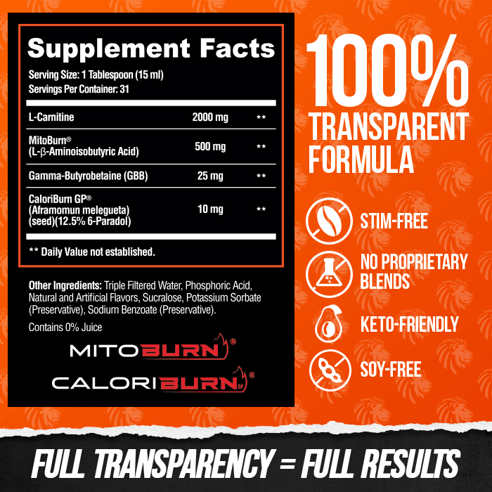 Alpha Lion BURN2O – Stimulant-Free Liquid Thermogenic & Performance Support, 31 Servings