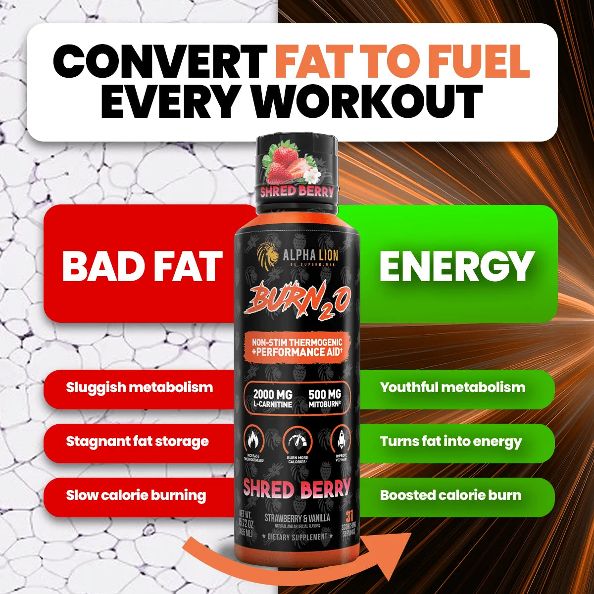 Alpha Lion BURN2O – Stimulant-Free Liquid Thermogenic & Performance Support, 31 Servings