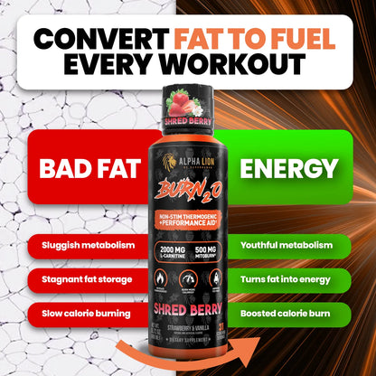 Alpha Lion BURN2O – Stimulant-Free Liquid Thermogenic & Performance Support, 31 Servings