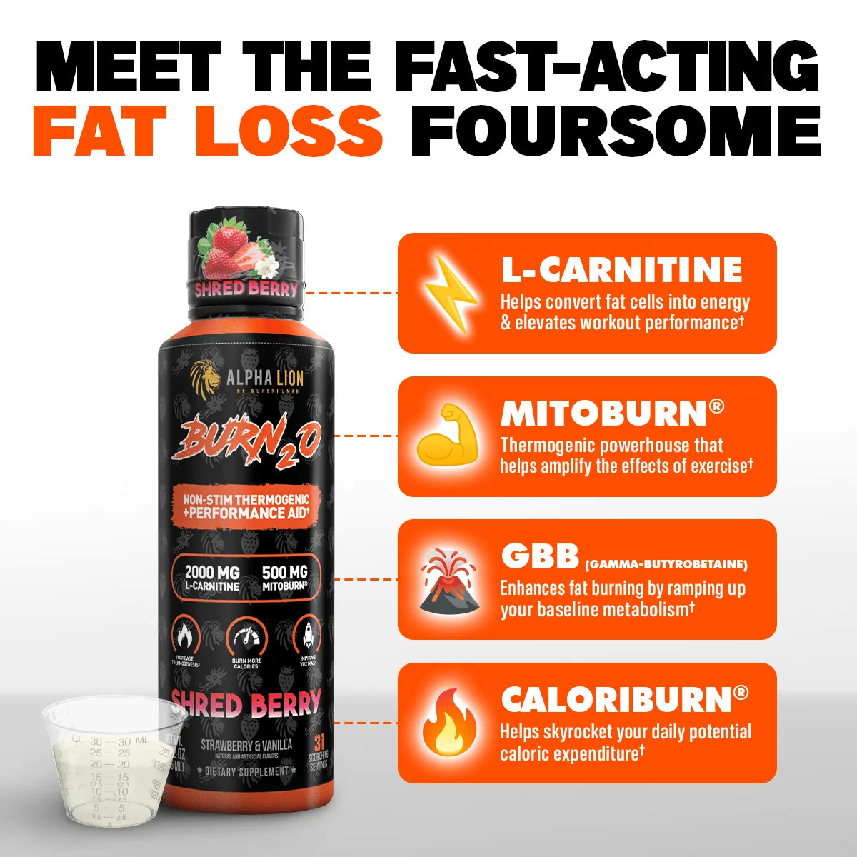 Alpha Lion BURN2O – Stimulant-Free Liquid Thermogenic & Performance Support, 31 Servings