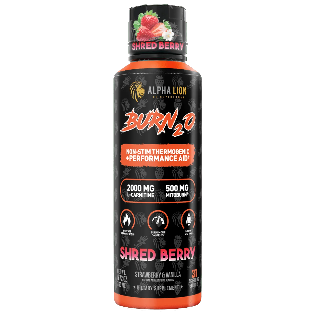 Alpha Lion BURN2O – Stimulant-Free Liquid Thermogenic & Performance Support, 31 Servings