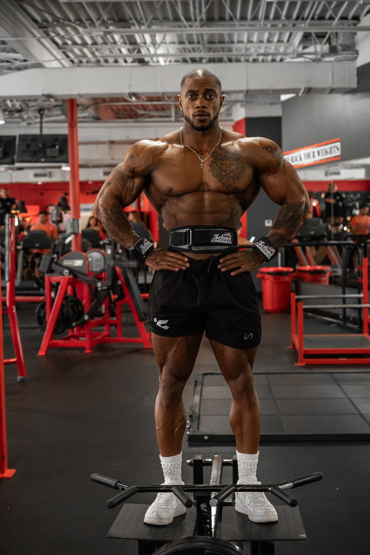 Model 3004 Power Lifting Belt