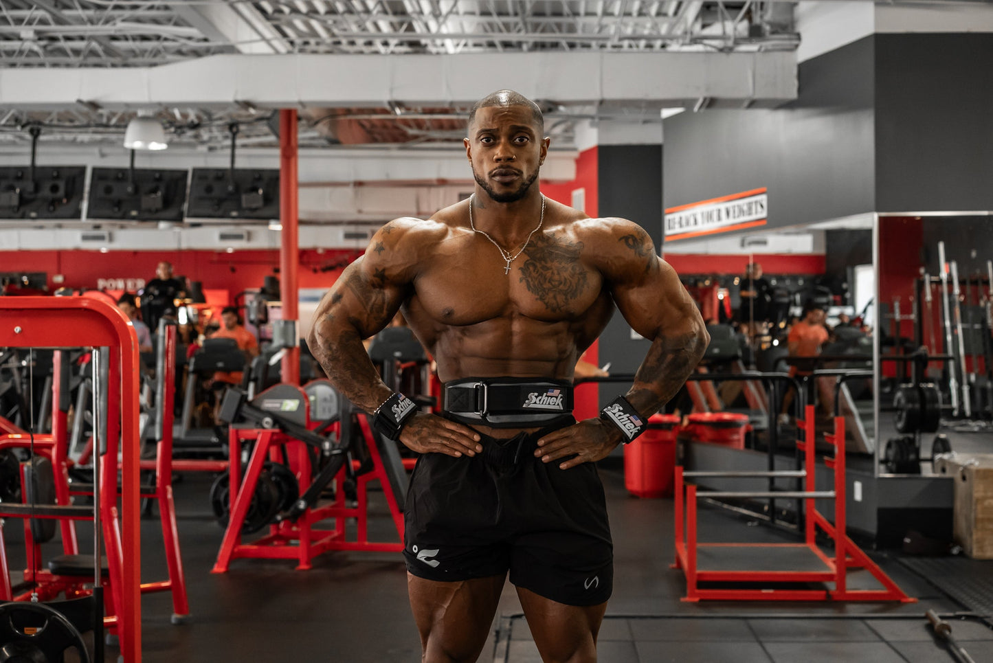 Model 3006 Power Lifting  Belt