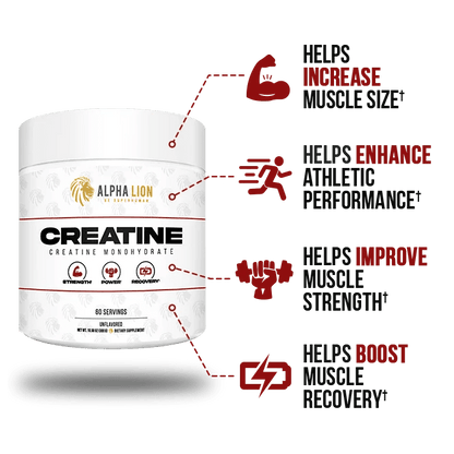 Alpha Lion Creatine Monohydrate – 5g Creatine, Unflavored, 60 Servings - Mann Nutrition