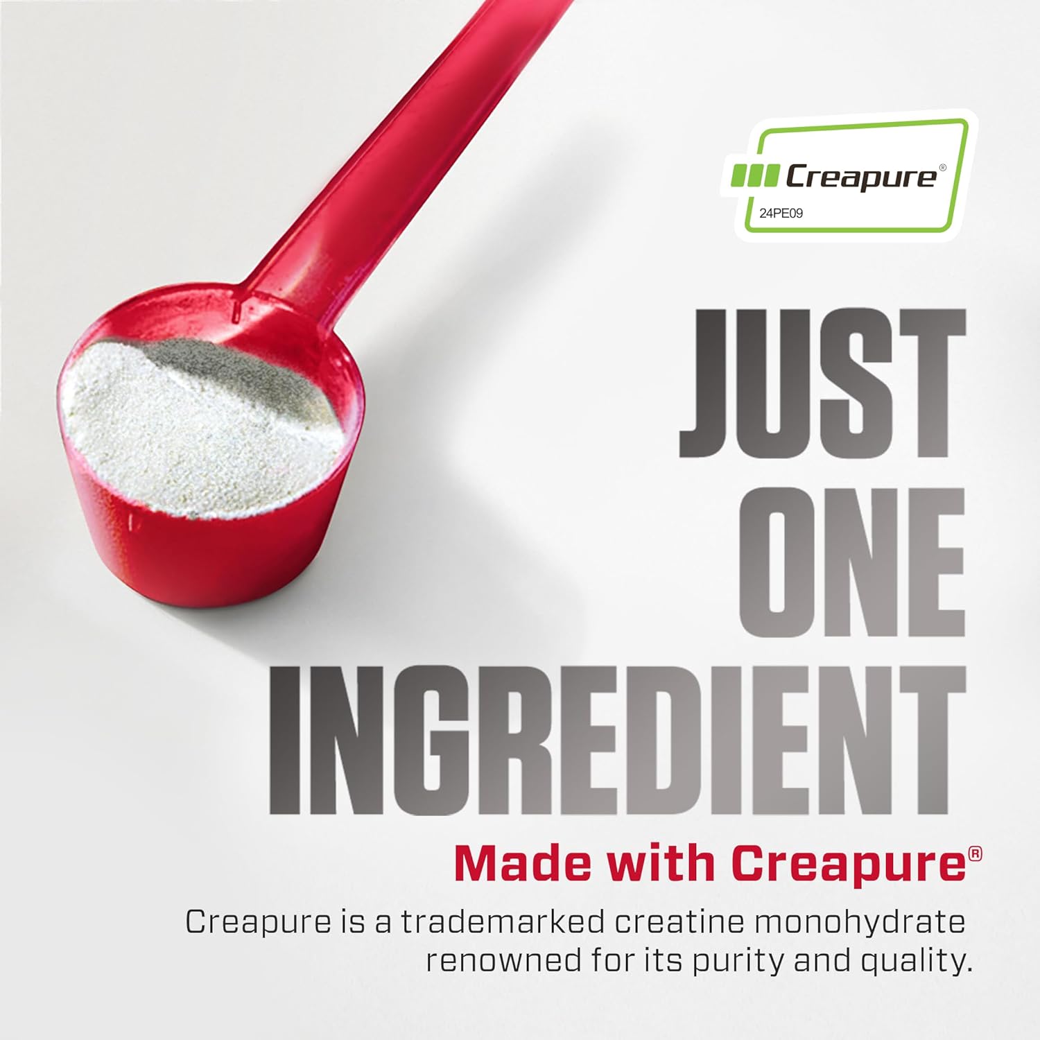 Dymatize 100% Creatine Monohydrate with Creapure - 300g  - Mann Nutrition