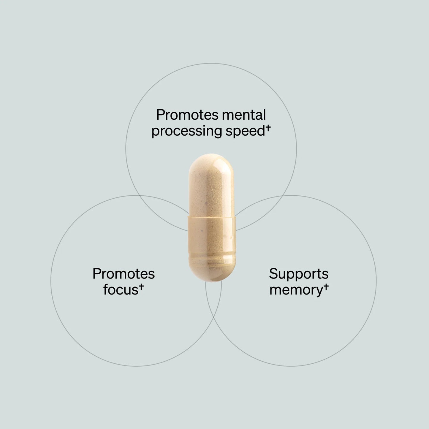 Onnit Labs Alpha Brain Memory & Focus Support - 30 Capsules - Mann Nutrition