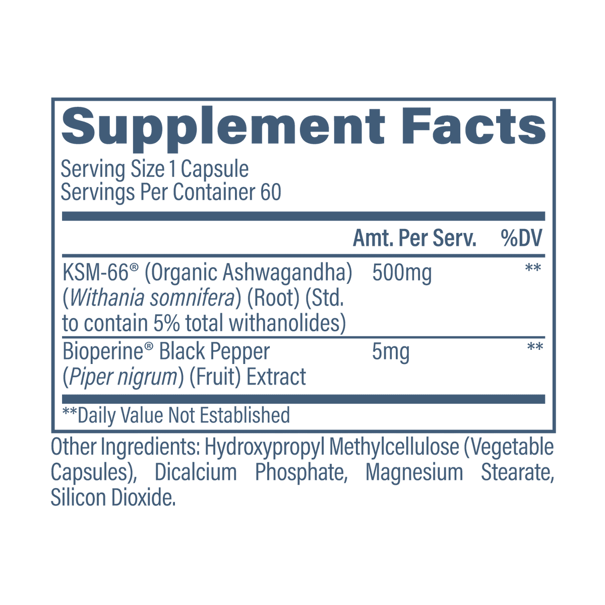 Revive Ashwagandha KSM-66 | Stress, Mood & Sleep Support | 60 Vegan Capsules - Mann Nutrition