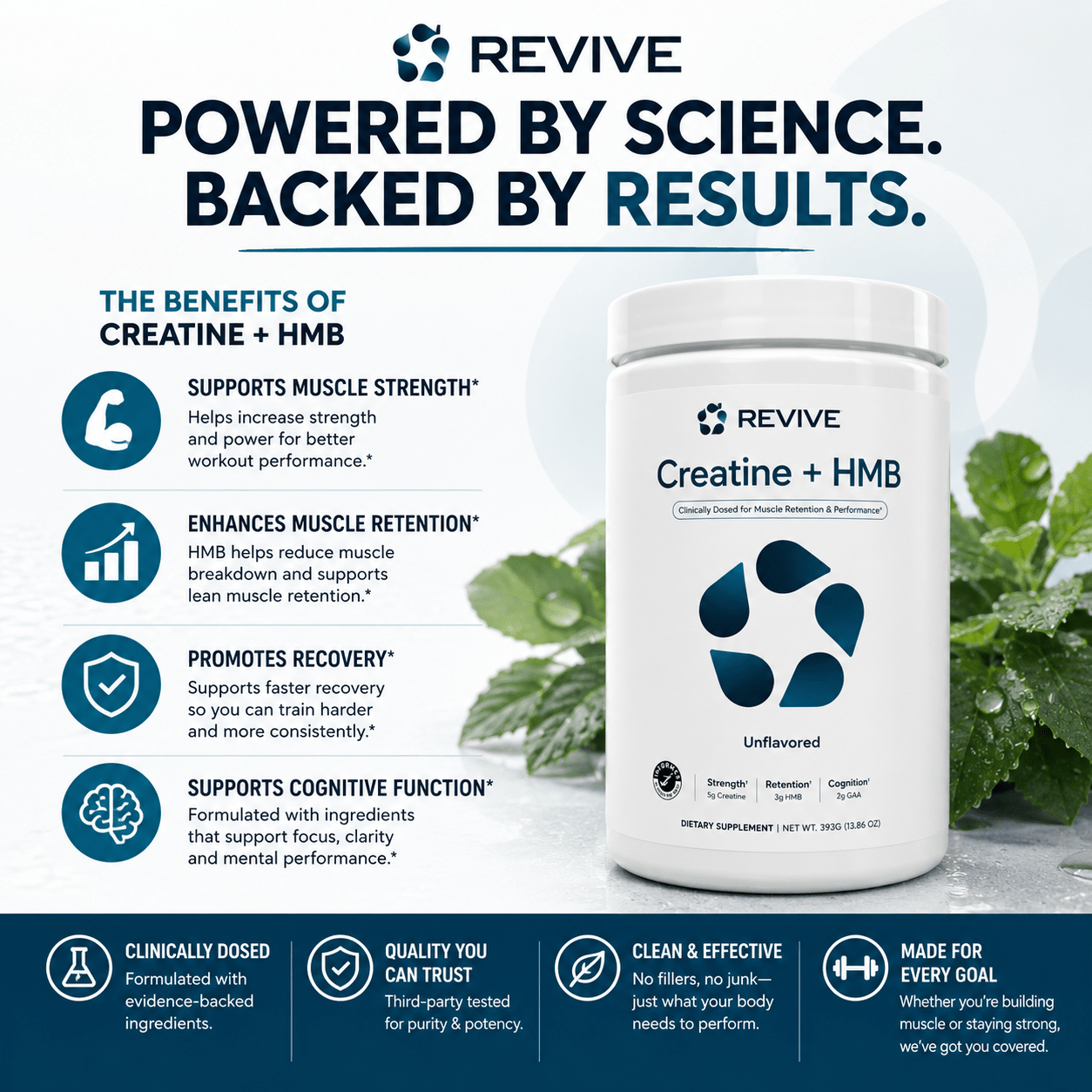 Revive Creatine + HMB - 30 Servings  - Mann Nutrition